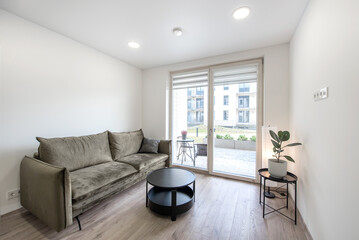 Modern Home Living Room Interior with Open Space Area, Couch Sofa, And Dining Table. Flowers on the Table. Windows in Background. Hardwood Floor.