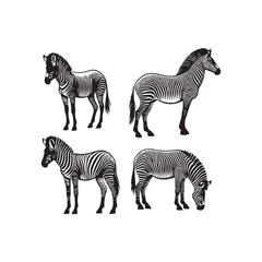 set of zebra vector, zebra icon, silhouette of zebra crossing vector illustration, zebra silhouette, icon logo