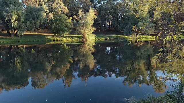 Vegetation reflected in the waters of the Crișul Repede River in Oradea.