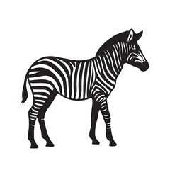 zebra vector, zebra icon, silhouette of zebra crossing vector illustration, zebra silhouette, icon logo