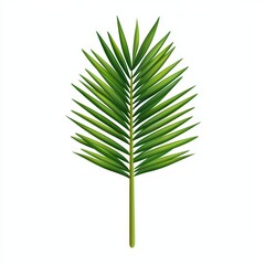 Green palm leaf on a white isolated background.