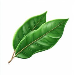 Obraz premium Green leaves with detailed texture, isolated on a white background.