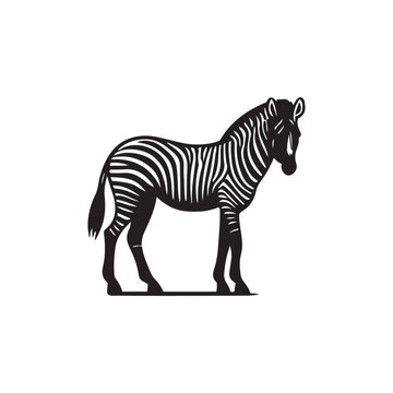 recommend clip art: zebra vector, zebra icon, silhouette of zebra crossing vector illustration, zebra silhouette, icon logo