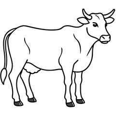 silhouette of a cow doodle sketchy vector illustration with a white background 