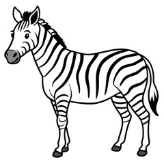 zebra doodle sketchy vector illustration with a white background 