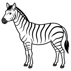zebra doodle sketchy vector illustration with a white background 