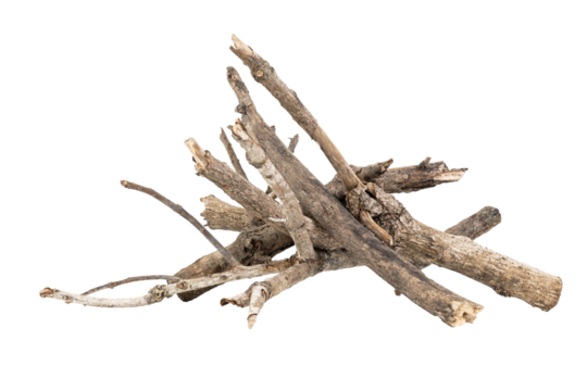 Dry wood pile isolated on white background with clipping path. Dry twigs pile ready for campfire, sticks, boughs heap for a fire, dry thin branches, brushwood.