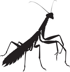 mantis silhouette set collection isolated black on white background vector illustration