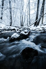 Winter Stream in Snowy Forest