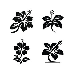 A set of black and white logo, hibiscus flowers © Masum