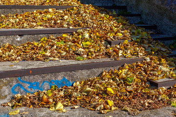 Autumn leaves on steps at Lake Como in Italy