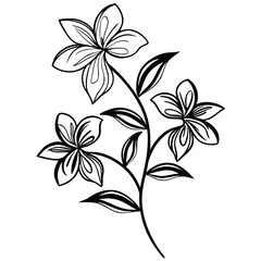 a black and white line drawing of a branch with three flowers