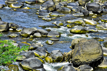 Fototapeta premium Beautiful, aesthetic and artistic river rocks with clear water in rural Asia Indonesia 
