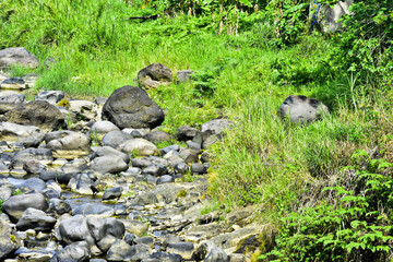 Beautiful, aesthetic and artistic river rocks with clear water in rural Asia Indonesia	