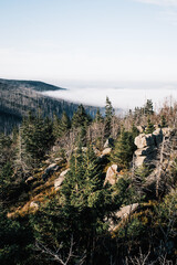 Zeterklippen Harz im Herbst mit Hochnebel