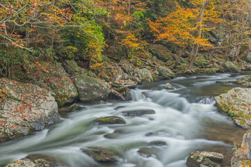 Autumn landscape of the Little River framed by foliage and captured with motion blur, Great Smoky Mountains National Park, Tennessee, USA