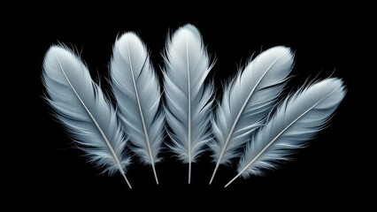 Obraz premium Black backdrop, white feathers fan, double exposure AI art.