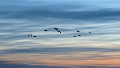 Fototapeta premium Serene natural beauty at dusk, a magnificent sight of bird migration.