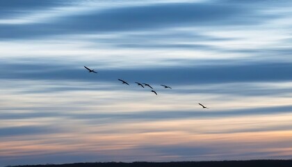 Fototapeta premium Serene natural beauty at dusk, a magnificent sight of bird migration.