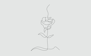 illustration of roses with black lines on a white background