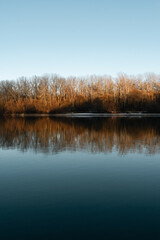 Golden light illuminates a forest of bare trees by the river during a peaceful winter evening.
