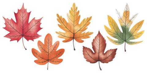 Autumn Leaves Watercolor Collection 