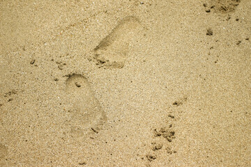 white beach sand texture background, footprints in the sand