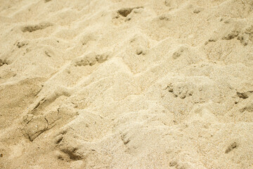 white beach sand texture background, footprints in the sand