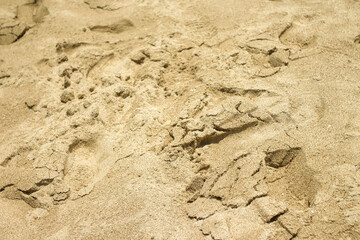white beach sand texture background, footprints in the sand