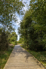 Bohlenwege auf der Nordseeinsel Amrum