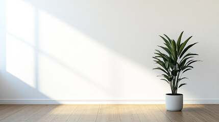 Bright indoor space showcasing a green plant in a simple pot along a white wall
