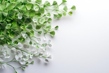 Fototapeta premium A lush arrangement of green and white leaves on a clean, white background, creating a fresh and natural aesthetic.