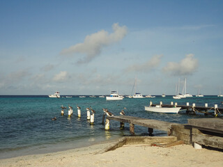 the pier in the port - Wonderful view of the wooden pier of Gran Roque, Venezuela