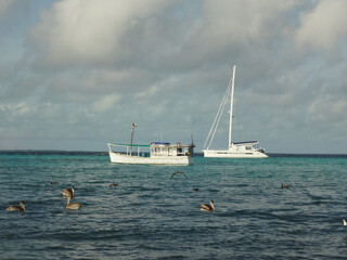 yacht in the sea - Boat anchored on Caribbean beach, Los Roques National Park