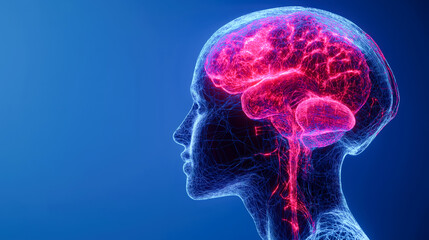 Explore the intricate design of the human brain with this vivid, digital illustration showcasing neural connections and brain structures against a blue background.