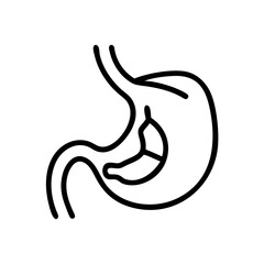 Human stomach line icon vector 
