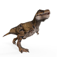 tyrannosaurus mcraeensis is walking in white background in side view copy