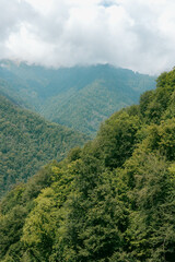 Majestic summer landscape of lush green mountains and dense forests in Lagodekhi, Georgia, under a dramatic cloudy sky. Perfect for travel, adventure, and nature-themed projects