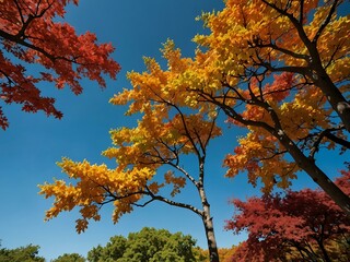 Colorful tree with vibrant foliage set against a clear sky.