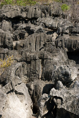 Parc national des Tsingy du massif du Bemaraha, Patrimoine mondial de l'UNESCO, Madagascar