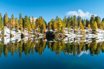 Golden Autumn Forest Reflecting in the Tranquil Waters of Lago Federa