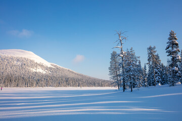 Winter Sunny Day and Skiing in Nature