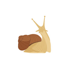 Fototapeta premium Big African snail is a wonderful pet. Domestic snail on a white background. Slow sloth is a friend for home living. Flat vector illustration