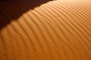 sand dune texture