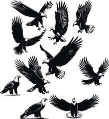 Eagle silhouette vector white background eagle illustration