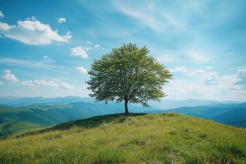 Obraz premium A solitary tree stands majestically atop a hill, surrounded by lush grass and mountains under a clear blue sky.
