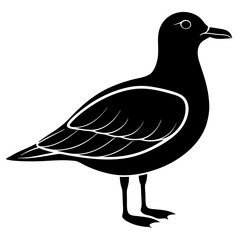 Gull icon silhouette on White background 
