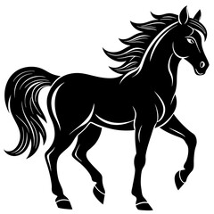 Horse silhouette on White background 