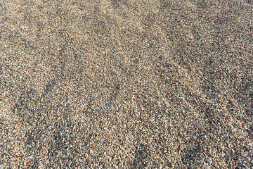 Gravel Background Texture
