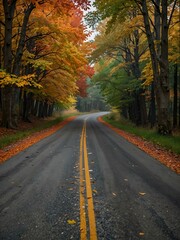 Obraz premium Country road with colorful autumn leaves.